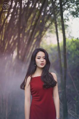 藏海传剧情介绍