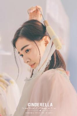 天才基本法电视剧免费观看