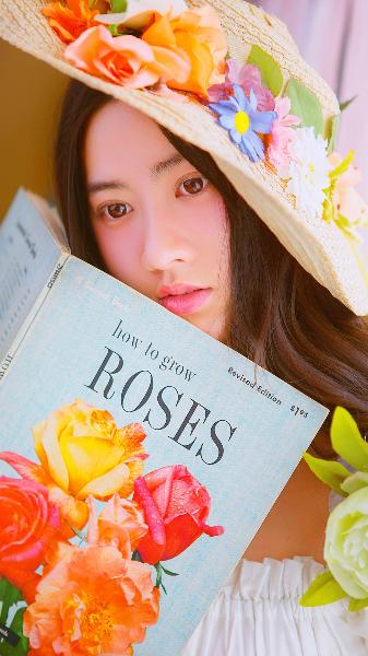 日韩电影在线观看完整版熊出没