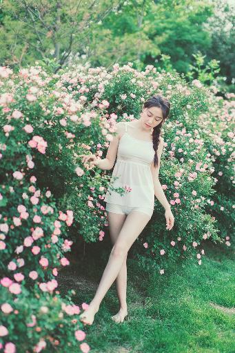 青青河边草免费高清电影新浪