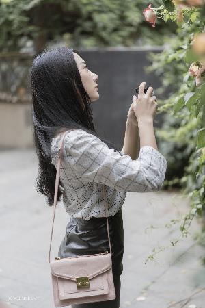 最新电视剧2025热播最火剧免费观看