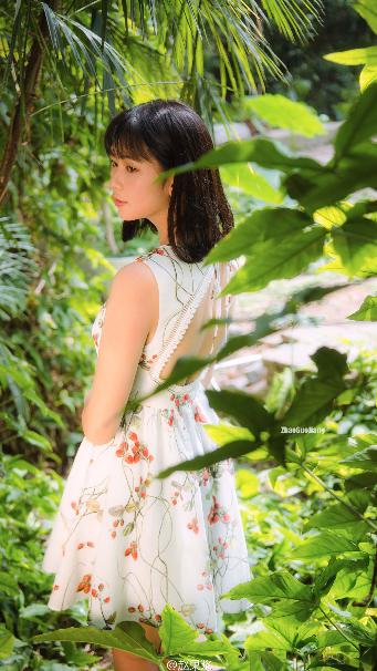 短剧大全免费观看