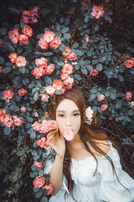 柴胡舒肝丸的功效和作用