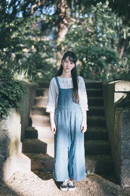 鲁大师在线观看免费高清电视剧大全